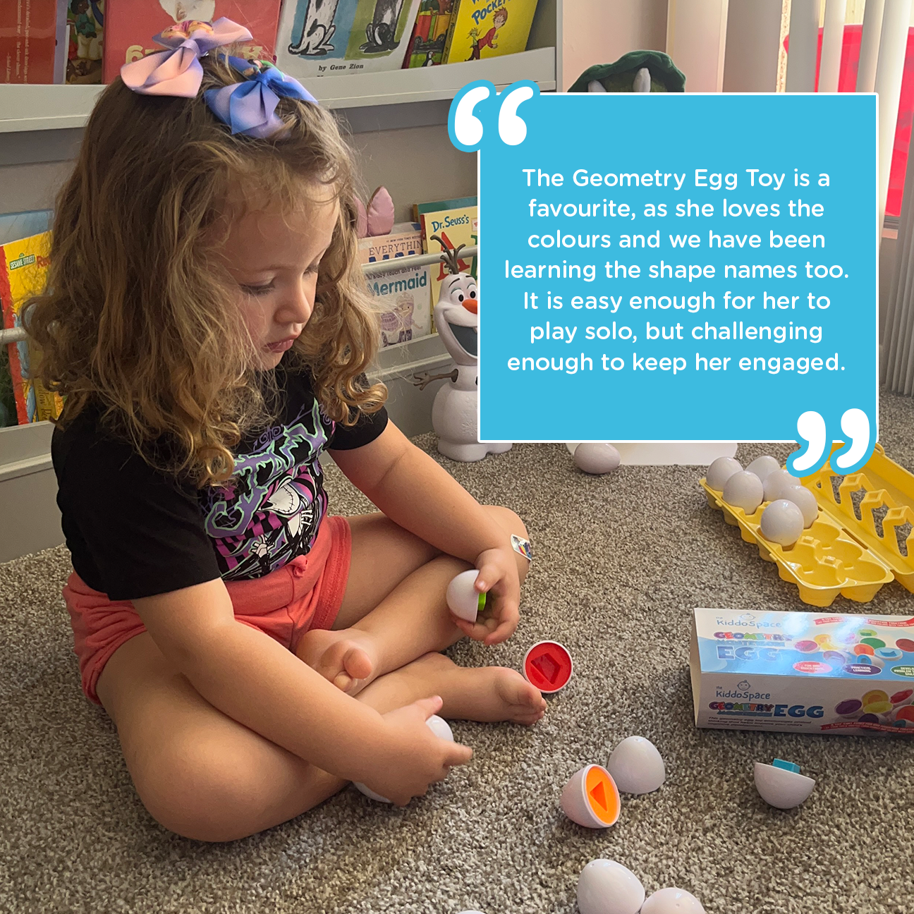 Montessori Geometric Eggs